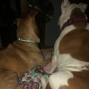 Meet your Posher, Katherine